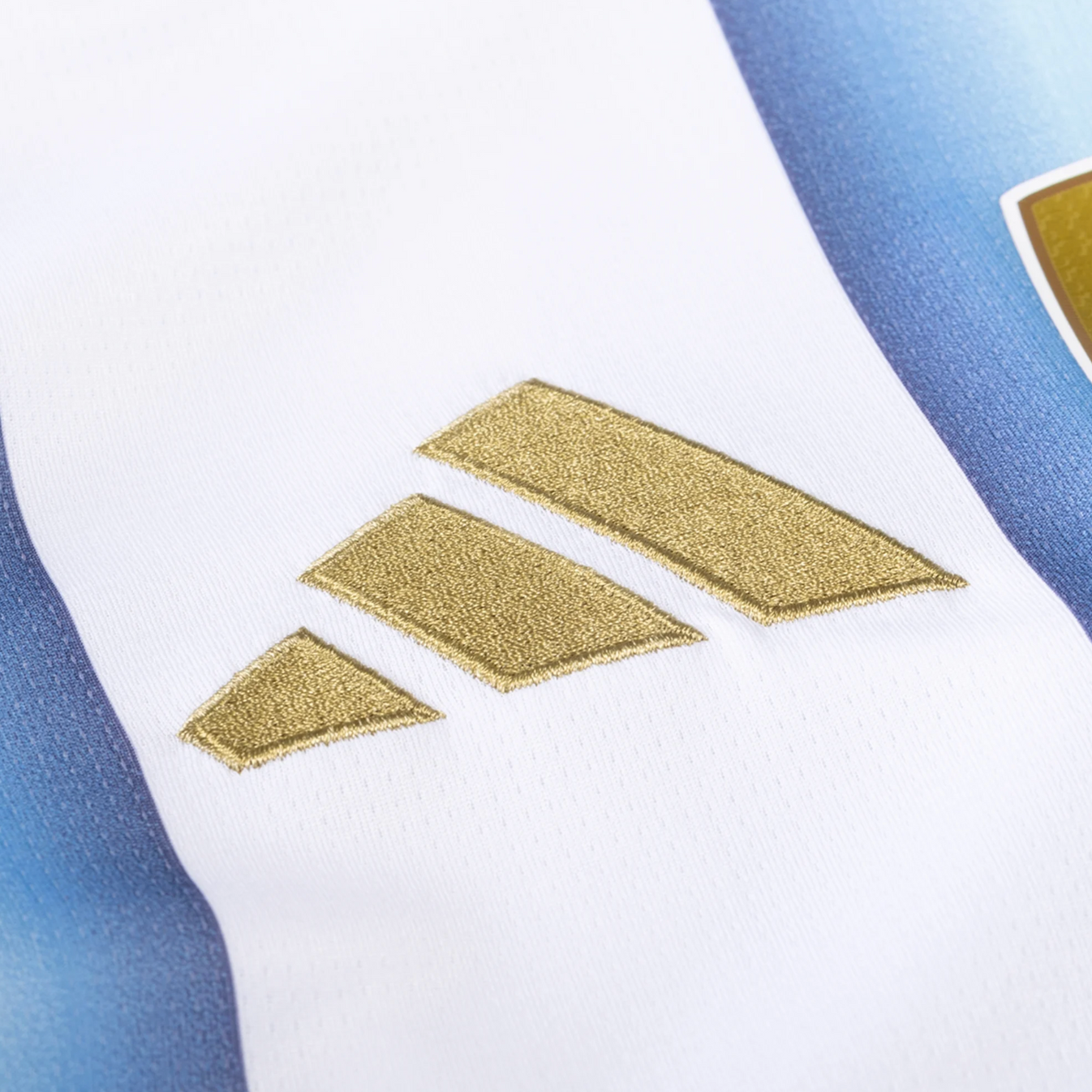 Argentina 26/27 Home Player Version